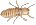 termites